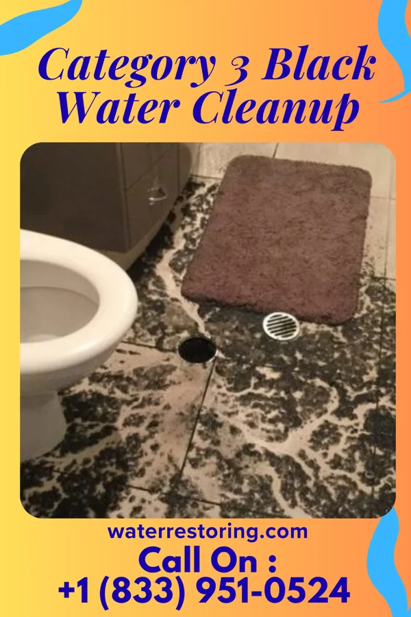 Category 3 Black Water Cleanup in Otterville, IL