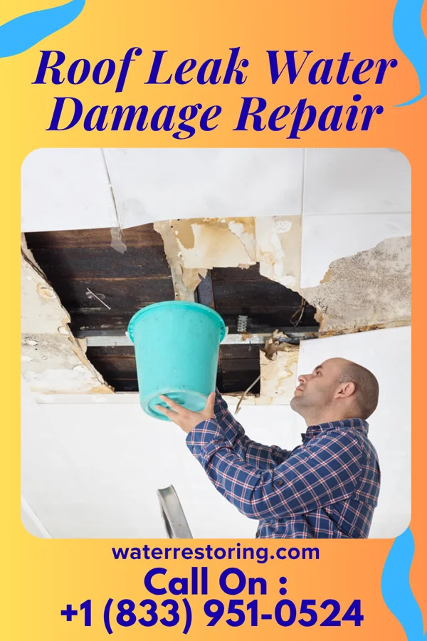 Roof Leak Water Damage Repair in Otterville, IL
